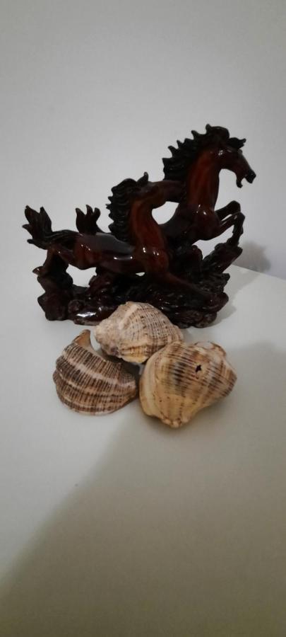 Apartament Clara Permet Apartment ภายนอก รูปภาพ